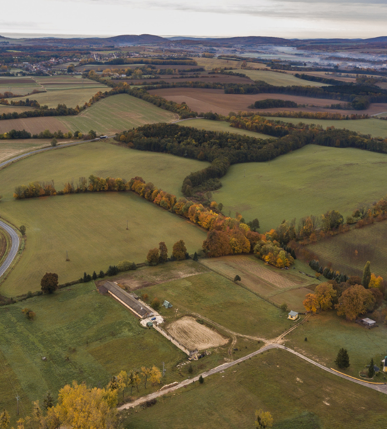 picture of raw land: aerial view
