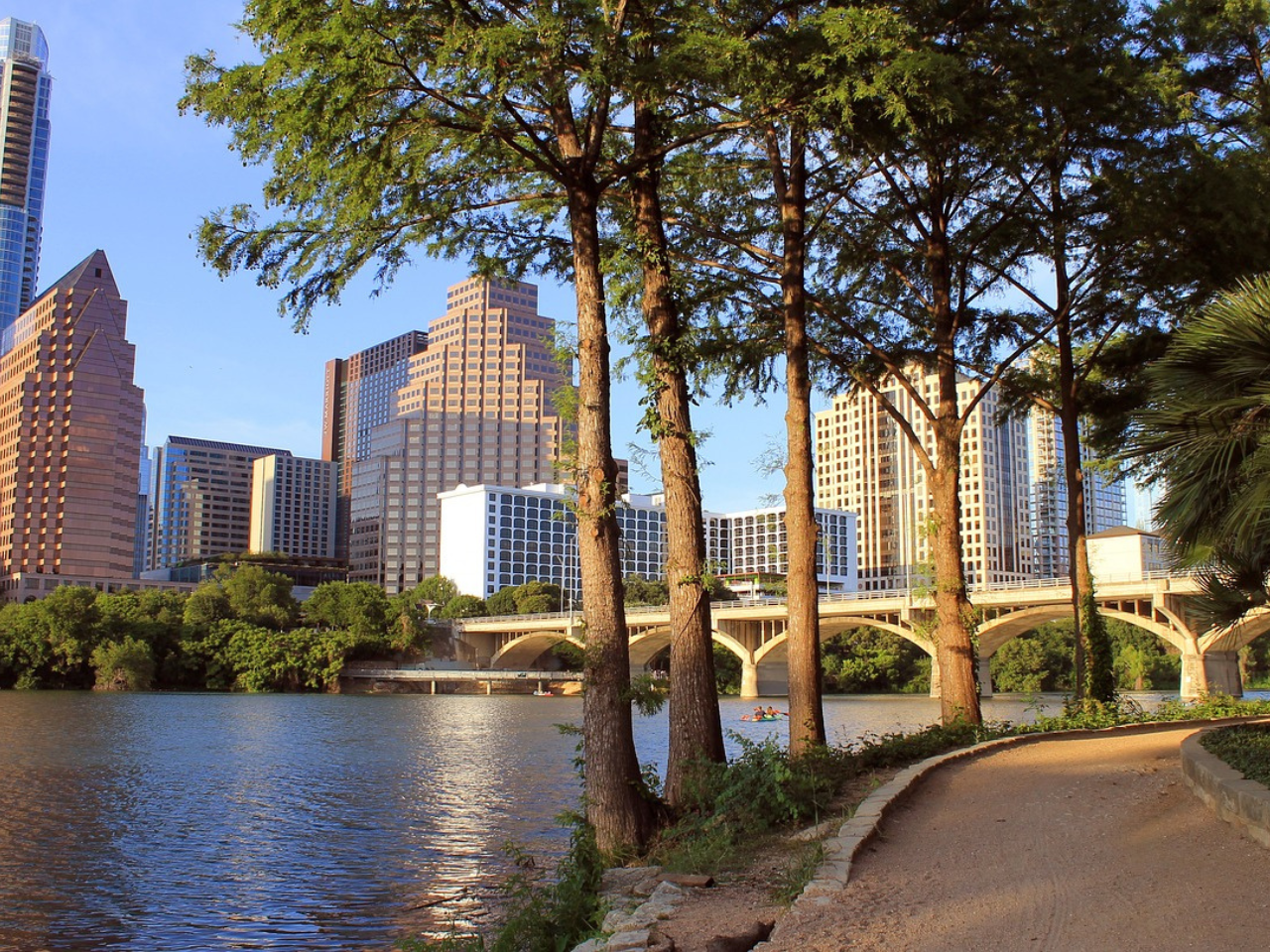 Trees next to the water and buildings in Austin.